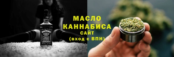крисы Мегион