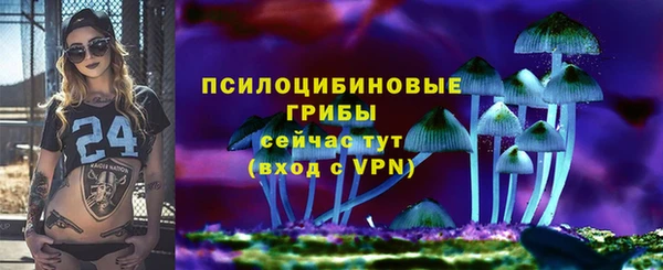крисы Мегион