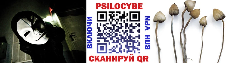 ссылка на мегу ссылка  Полысаево  Псилоцибиновые грибы прущие грибы 